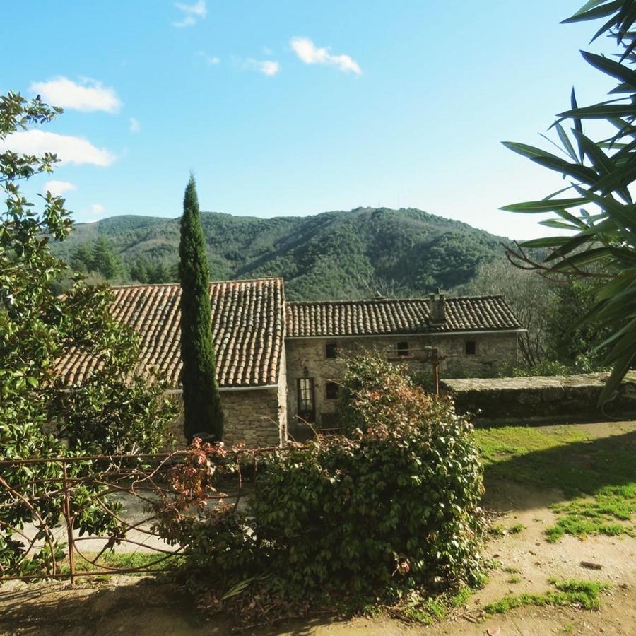 Gite Pommier Au Chateau Des Pauses Villa Saint-André-de-Majencoules Buitenkant foto